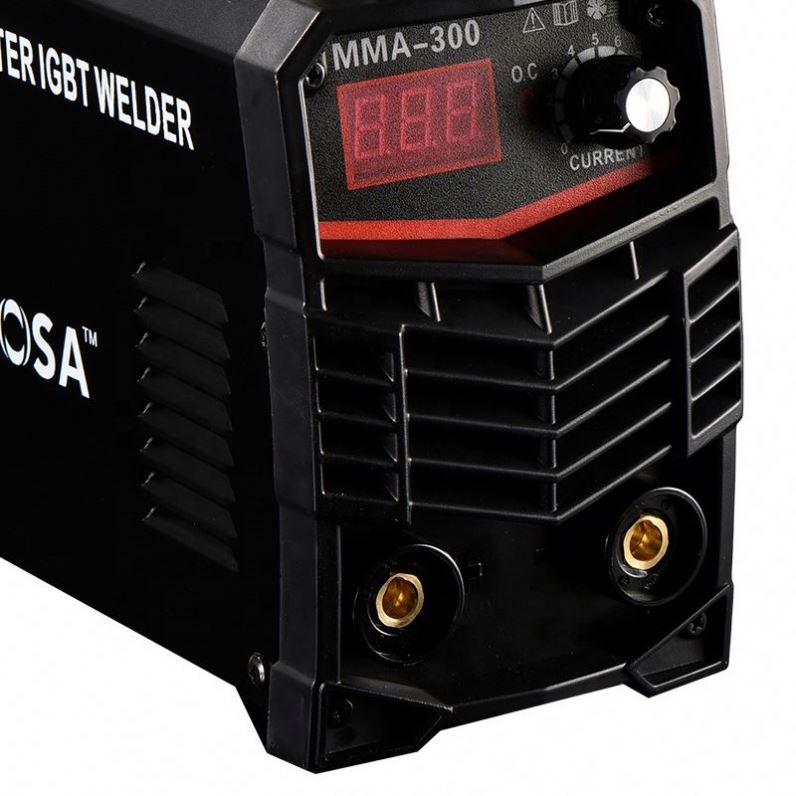 220V 휴대용 MMA 용접기 인버터 IGBT 수동 금 - Inverter Welding Machine Igbt 300A 리뷰 및 가격